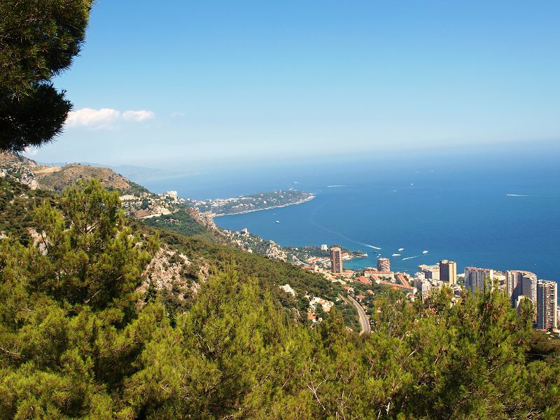 img00011.jpg