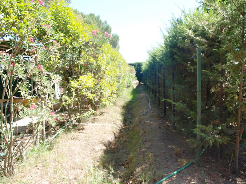 img00018.jpg